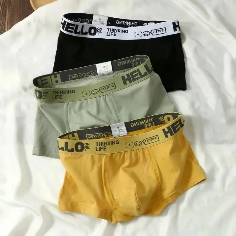 5 Articles Men's Underwear MEN'S Large Size Medium Waist Antibacterial Breathable Comfortable Cotton Boxer Shorts Male