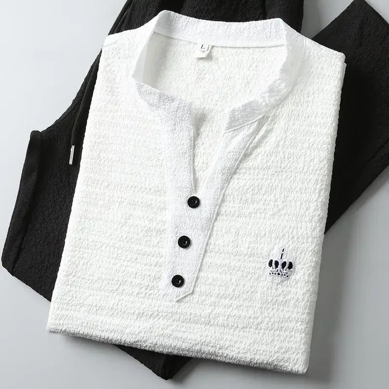 New 2025 Men's Slim Fit Short Sleeve Sportswear Set Casual Embroidered V-Neck Chinese Style Lightweight Two-Piece Suit - Ellianto fashion Men's
