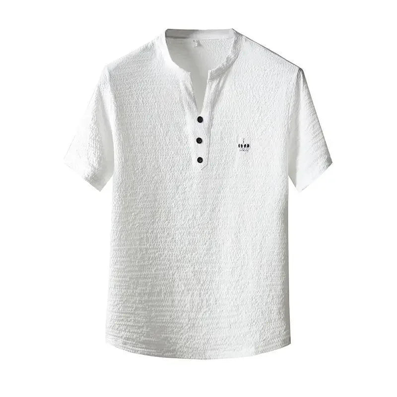 New 2025 Men's Slim Fit Short Sleeve Sportswear Set Casual Embroidered V-Neck Chinese Style Lightweight Two-Piece Suit - Ellianto fashion Men's