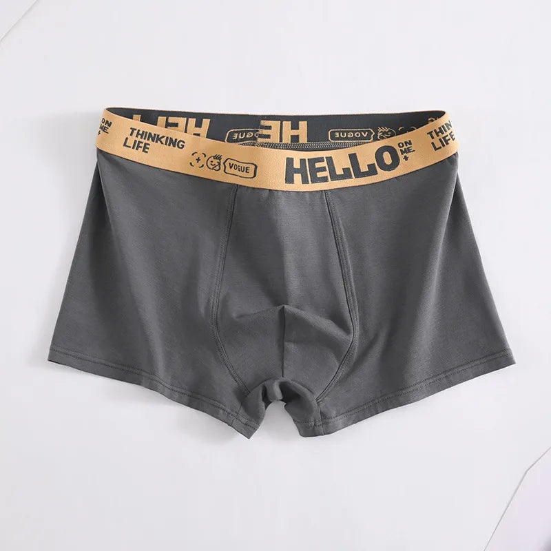 5 Articles Men's Underwear MEN'S Large Size Medium Waist Antibacterial Breathable Comfortable Cotton Boxer Shorts Male