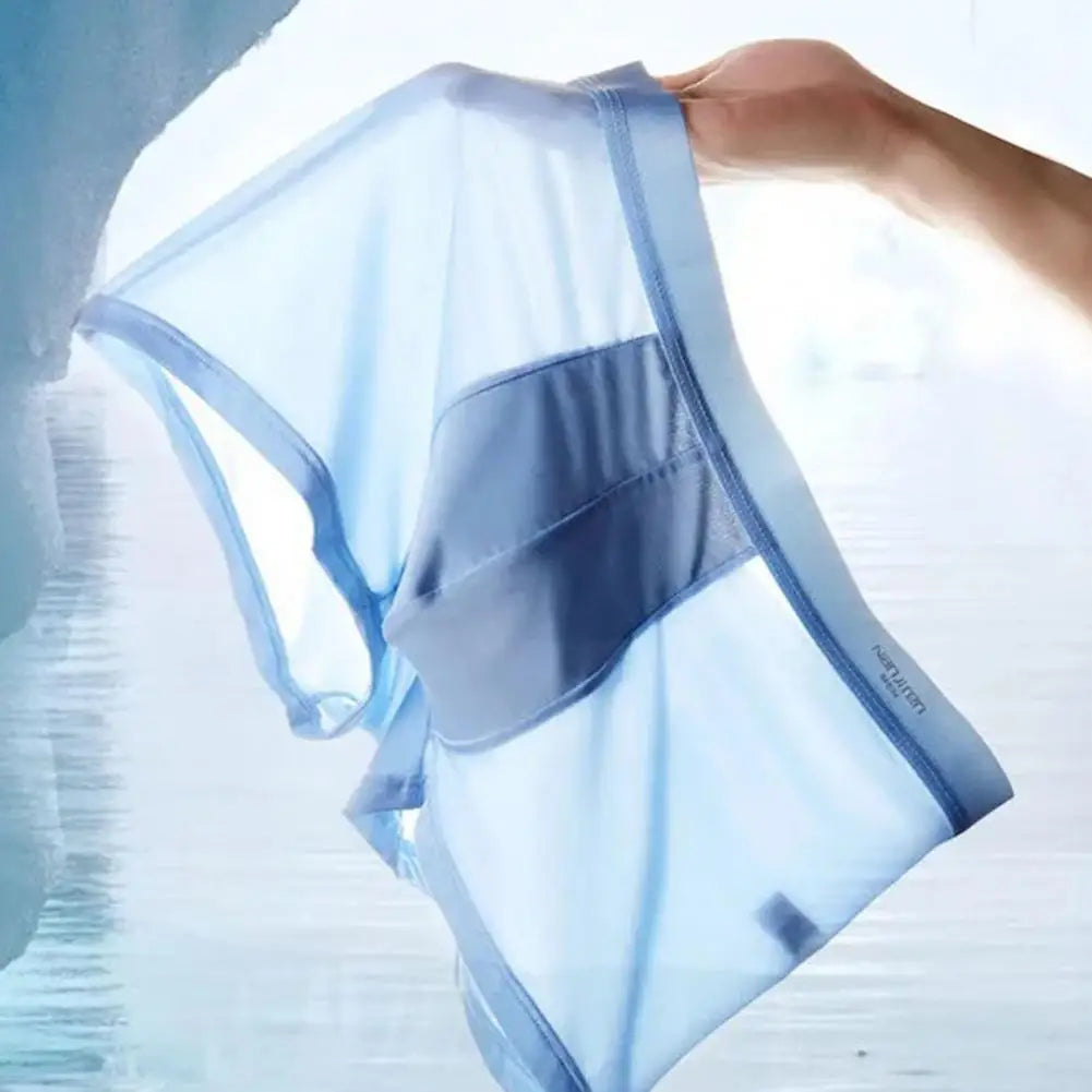 4pcs Boxer Shorts Men's Ice Silk Underwear Cool Underpants Breathable Sexy Thin Panties U Convex Lingerie Wholesale Lots L-6XL - Ellianto fashion Men's