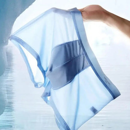 4pcs Boxer Shorts Men's Ice Silk Underwear Cool Underpants Breathable Sexy Thin Panties U Convex Lingerie Wholesale Lots L-6XL - Ellianto fashion Men's