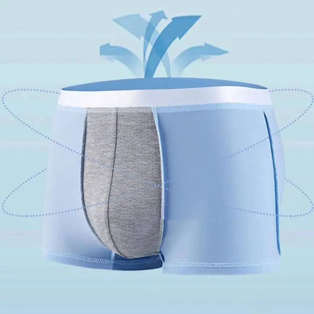 4pcs Boxer Shorts Men's Ice Silk Underwear Cool Underpants Breathable Sexy Thin Panties U Convex Lingerie Wholesale Lots L-6XL - Ellianto fashion Men's