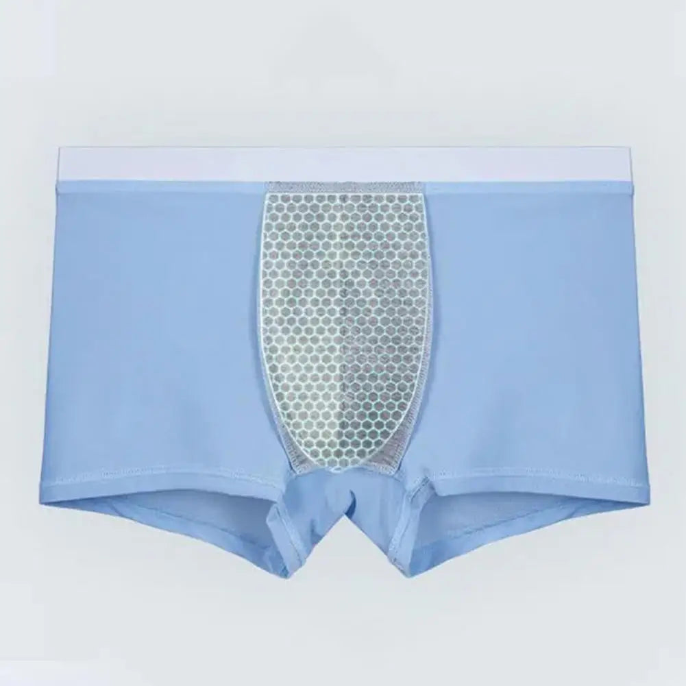 4pcs Boxer Shorts Men's Ice Silk Underwear Cool Underpants Breathable Sexy Thin Panties U Convex Lingerie Wholesale Lots L-6XL - Ellianto fashion Men's