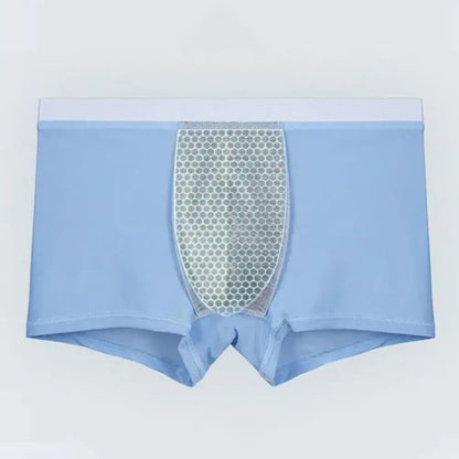 4pcs Boxer Shorts Men's Ice Silk Underwear Cool Underpants Breathable Sexy Thin Panties U Convex Lingerie Wholesale Lots L-6XL - Ellianto fashion Men's