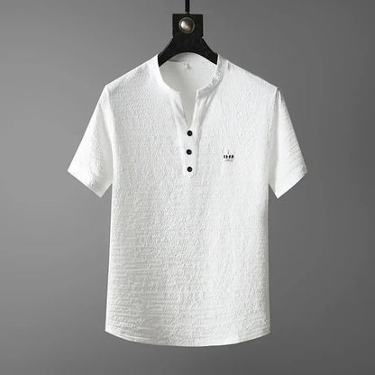 New 2025 Men's Slim Fit Short Sleeve Sportswear Set Casual Embroidered V-Neck Chinese Style Lightweight Two-Piece Suit - Ellianto fashion Men's
