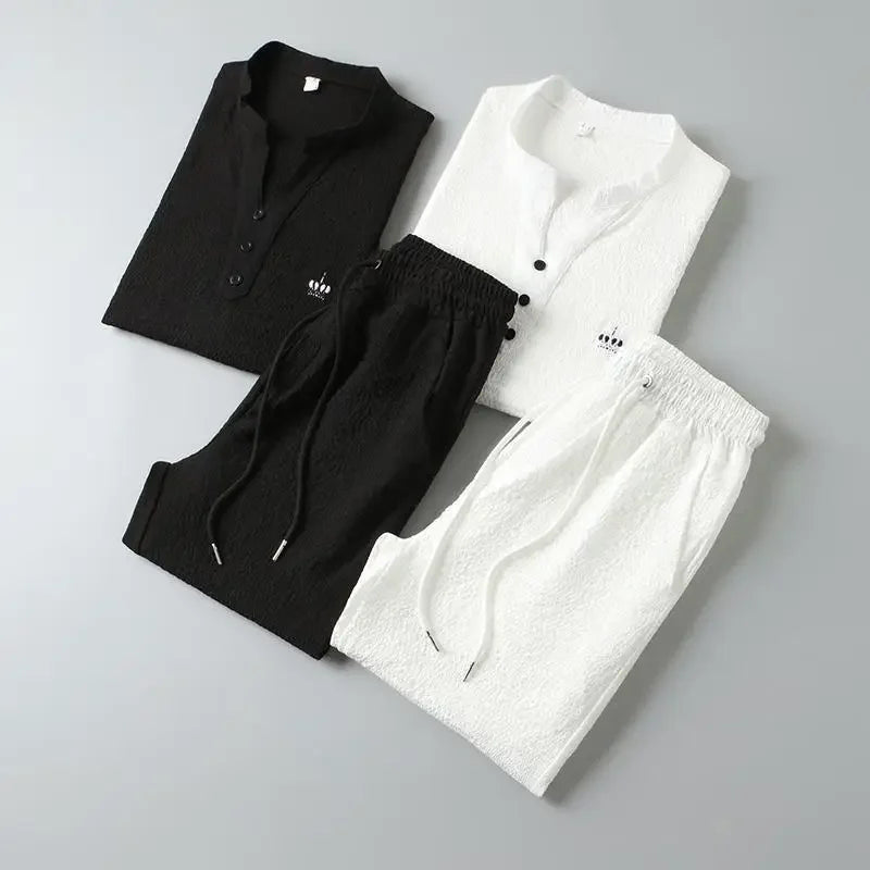 New 2025 Men's Slim Fit Short Sleeve Sportswear Set Casual Embroidered V-Neck Chinese Style Lightweight Two-Piece Suit - Ellianto fashion Men's