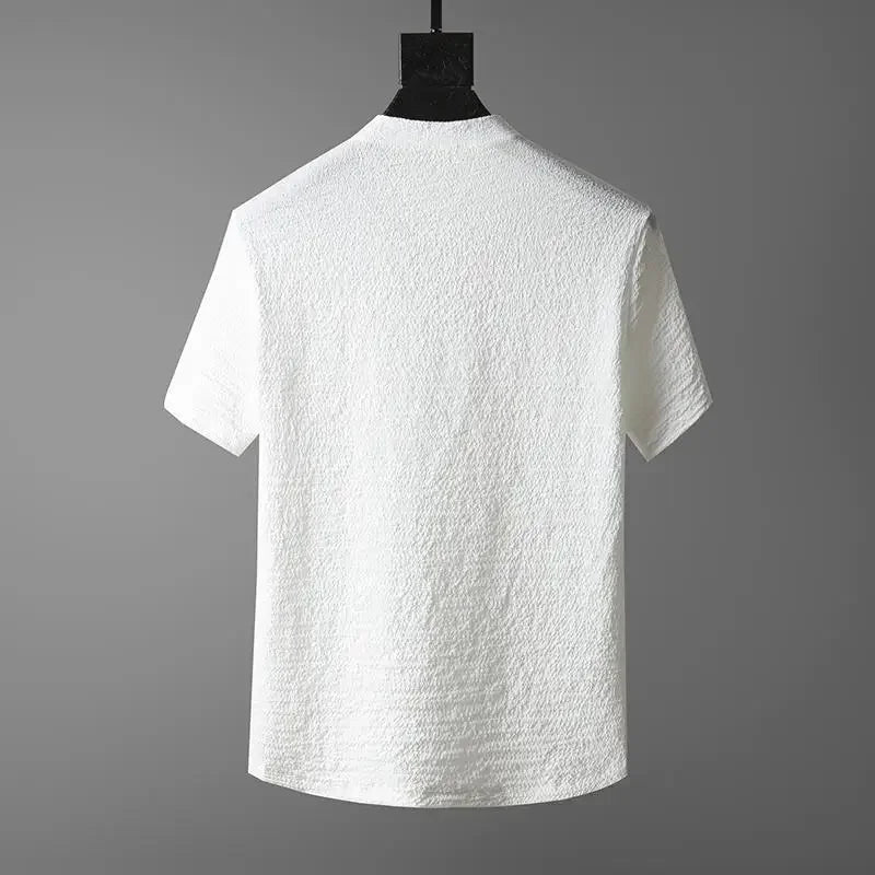 New 2025 Men's Slim Fit Short Sleeve Sportswear Set Casual Embroidered V-Neck Chinese Style Lightweight Two-Piece Suit - Ellianto fashion Men's